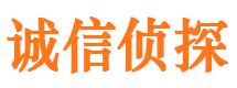 宁强市调查公司